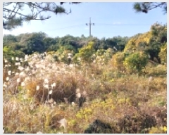  2025Ÿ��8263 ���� �������� ������ ���︮ 100-1      ����(��1)���