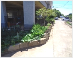  2025Ÿ��8294 ���� �������� ������ �ϸ� 1570-18      ����(��1)���