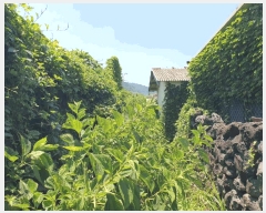  2025Ÿ��8413 ���� ���ֽ� ȭ���ϵ� 4027-1       ����(����)���