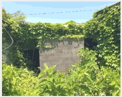  2025Ÿ��8413 ���� ���ֽ� ȭ���ϵ� 4027-1       ����(����)���