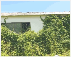  2025Ÿ��8413 ���� ���ֽ� ȭ���ϵ� 4027-1       ����(����)���