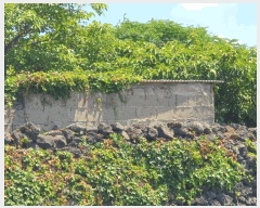  2025Ÿ��8413 ���� ���ֽ� ȭ���ϵ� 4027-1       ����(����)���