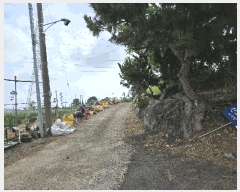  2025Ÿ��8504  â�����