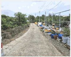  2025Ÿ��8504  â�����