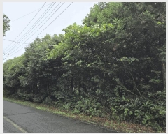  2025Ÿ��8512  ���������