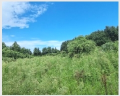  2025Ÿ��8512  ���������