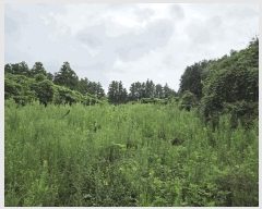  2025Ÿ��8512  ���������