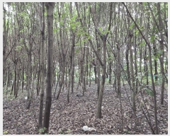  2025Ÿ��8512  ���������