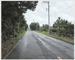  2025Ÿ��8512  ���������