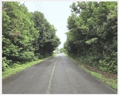  2025Ÿ��8512  ���������