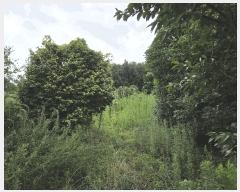  2025Ÿ��8512  ���������