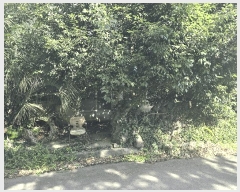  2025Ÿ��8650 ���� �������� �󿹵� 1683       ����(�Ӿ�)���