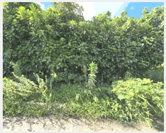  2025Ÿ��8650 ���� �������� �󿹵� 1683       ����(�Ӿ�)���