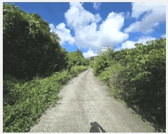  2025Ÿ��8650 ���� �������� �󿹵� 1683       ����(�Ӿ�)���