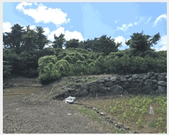  2025Ÿ��8650 ���� �������� �󿹵� 1683       ����(�Ӿ�)���