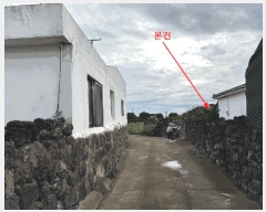  2025Ÿ��8785 ���� �������� ������ �ϰ��� 110      ���ð��