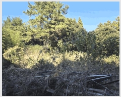  2025Ÿ��9003 ���� ���ֽ� ������ �۴縮 2720-1      ����(��1)���