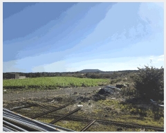  2025Ÿ��9003 ���� ���ֽ� ������ �۴縮 2720-1      ����(��1)���