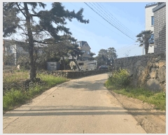  2025Ÿ��657 ���� ���ֽ� �Ѹ��� ������ 772      ���ð��