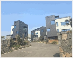  2025Ÿ��657 ���� ���ֽ� �Ѹ��� ������ 772      ���ð��