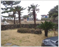  2025Ÿ��657 ���� ���ֽ� �Ѹ��� ������ 772      ���ð��