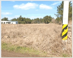  2025Ÿ904  ֽ Ѹ 縮 400      (1)