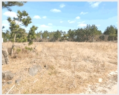  2025Ÿ904  ֽ Ѹ 縮 400      (1)