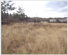  2025Ÿ904  ֽ Ѹ 縮 400      (1)