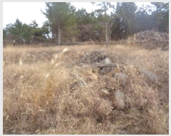  2025Ÿ904  ֽ Ѹ 縮 400      (1)