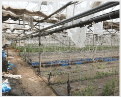  2025Ÿ942  ֽ Ѹ 븮 1073      ,â