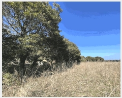  2025Ÿ��1004 ���� ���ֽ� ������ ��õ�� 1774      ����(��1)���