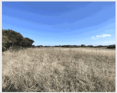  2025Ÿ��1004 ���� ���ֽ� ������ ��õ�� 1774      ����(��1)���