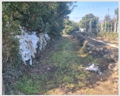  2025Ÿ1022     732-1      ()