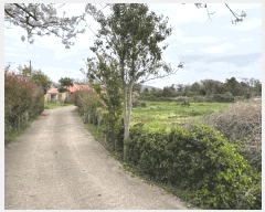  2025Ÿ��1065  �����