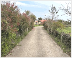  2025Ÿ��1065  �����