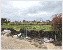  2025Ÿ��1065  �����