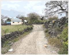  2025Ÿ��1065  �����