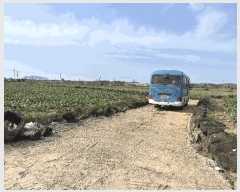  2025Ÿ��1076 ���� �������� ������ ������ 2401-5      ����(�Ӿ�)���