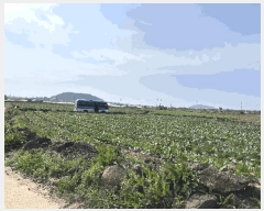  2025Ÿ��1076 ���� �������� ������ ������ 2401-5      ����(�Ӿ�)���