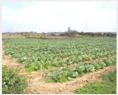  2025Ÿ��1076 ���� �������� ������ ������ 2401-5      ����(�Ӿ�)���