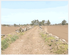  2025Ÿ��1094 ���� ���ֽ� ������ �ϵ��� 2234      ����(��1)���