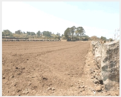  2025Ÿ��1094 ���� ���ֽ� ������ �ϵ��� 2234      ����(��1)���