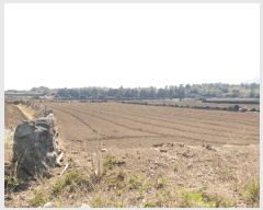  2025Ÿ��1094 ���� ���ֽ� ������ �ϵ��� 2234      ����(��1)���