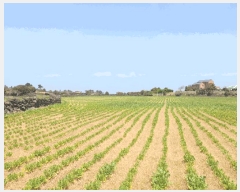  2025Ÿ��1094 ���� ���ֽ� ������ �ϵ��� 2234      ����(��1)���