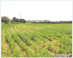  2025Ÿ��1094 ���� ���ֽ� ������ �ϵ��� 2234      ����(��1)���