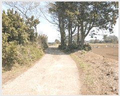  2025Ÿ��1094 ���� ���ֽ� ������ �ϵ��� 2234      ����(��1)���