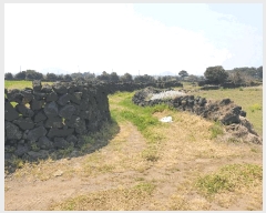  2025Ÿ��1094 ���� ���ֽ� ������ �ϵ��� 2234      ����(��1)���