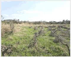  2025Ÿ1113  ֽ Ѹ ݾǸ 2698      (Ӿ)