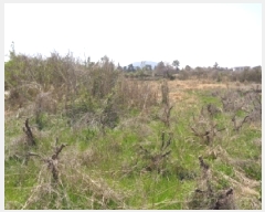  2025Ÿ1113  ֽ Ѹ ݾǸ 2698      (Ӿ)