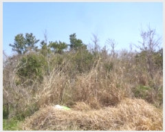  2025Ÿ1113  ֽ Ѹ ݾǸ 2698      (Ӿ)